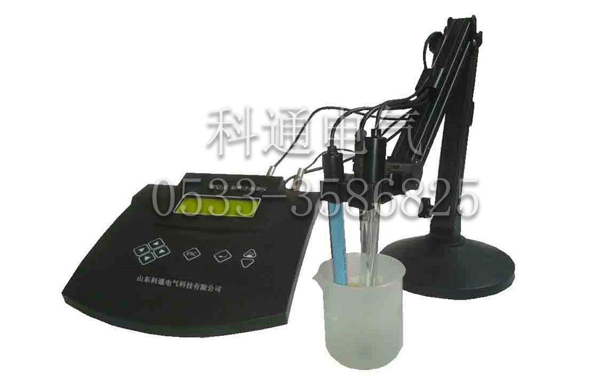 KPX216氟离子浓度计表